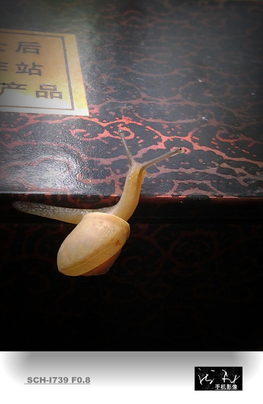 20140802_111057-1_副本.jpg