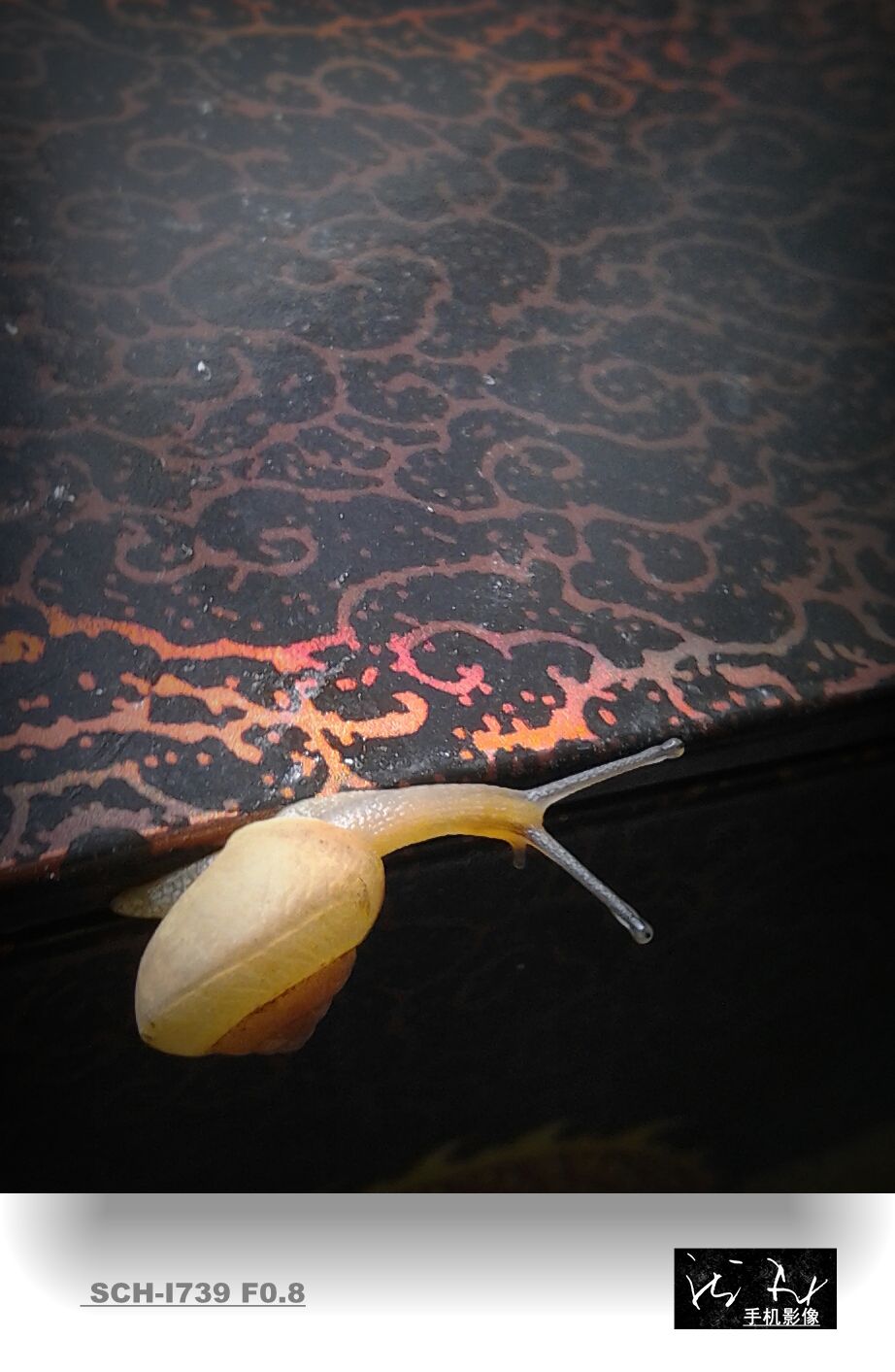 20140802_111115-1_副本.jpg