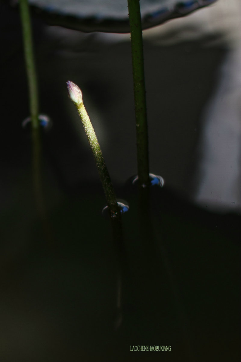 鏃楄?-6.jpg