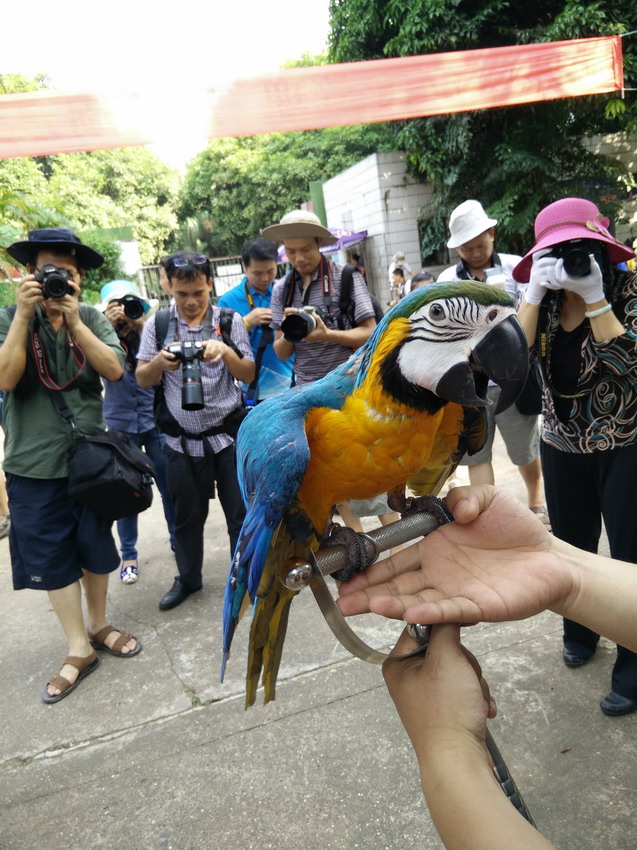 IMG20140803165842_缩小大小.jpg