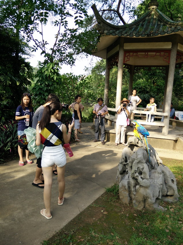 IMG20140803170459_缩小大小.jpg