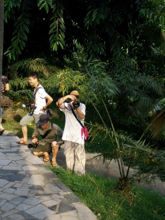 IMG20140803173733_缩小大小.jpg