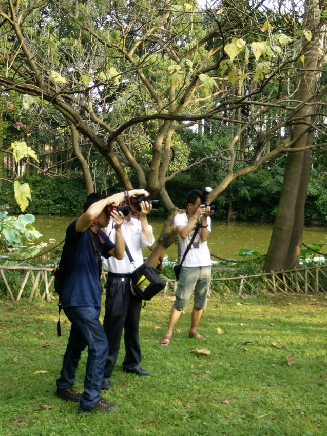 IMG20140803174818_缩小大小.jpg