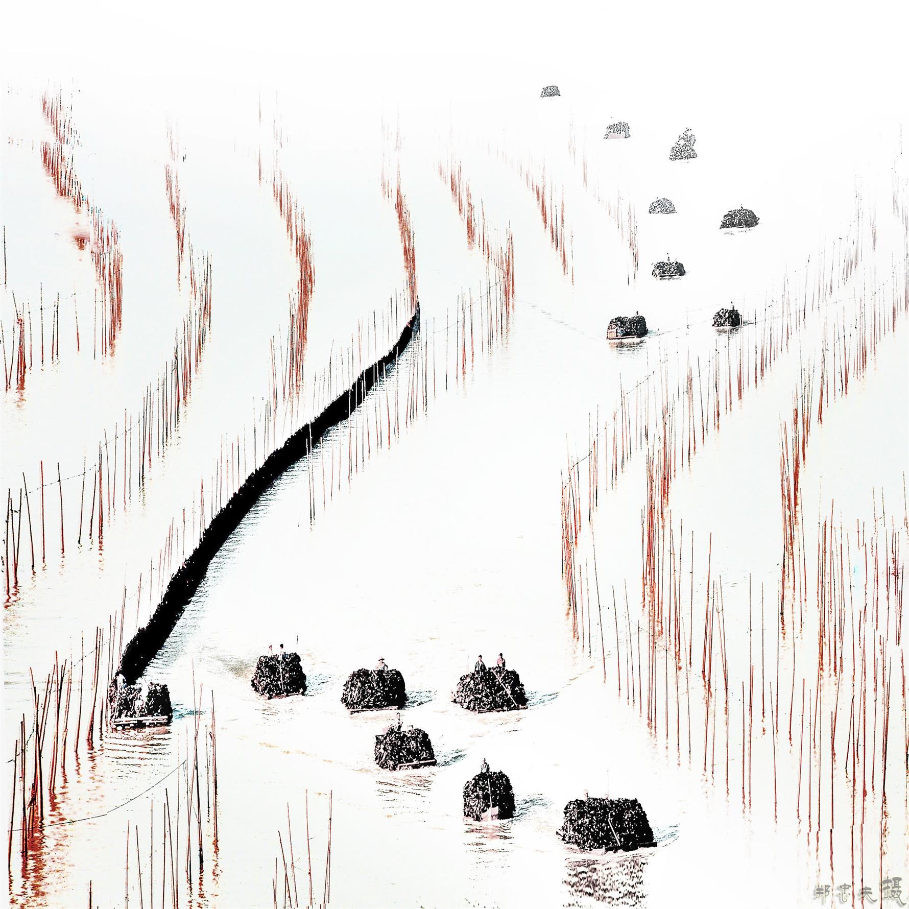 沙江1.jpg