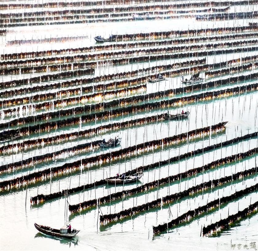 沙江 (4).jpg