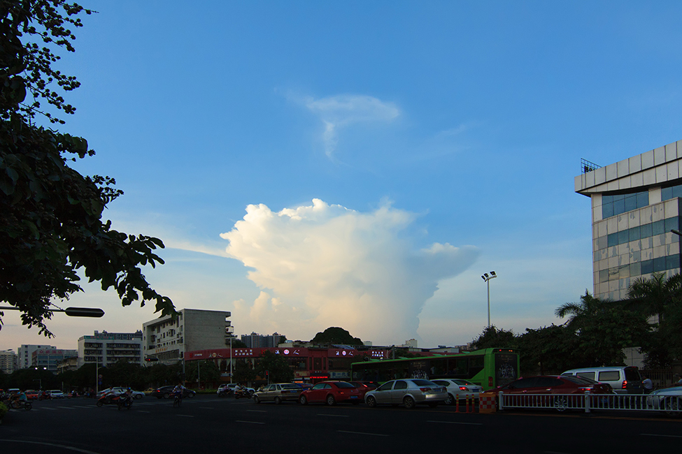 P8.jpg
