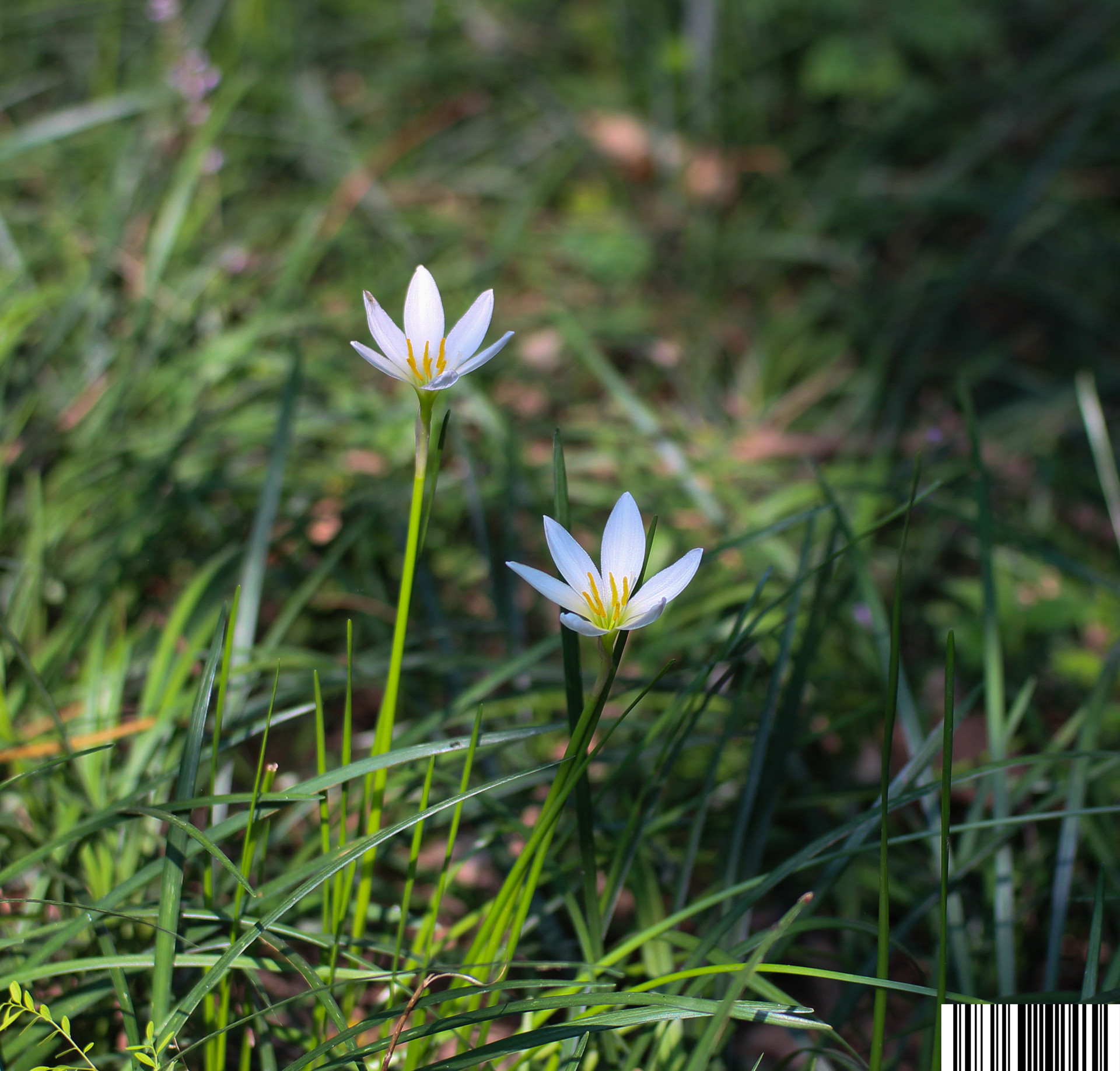 IMG_7861_副本.jpg