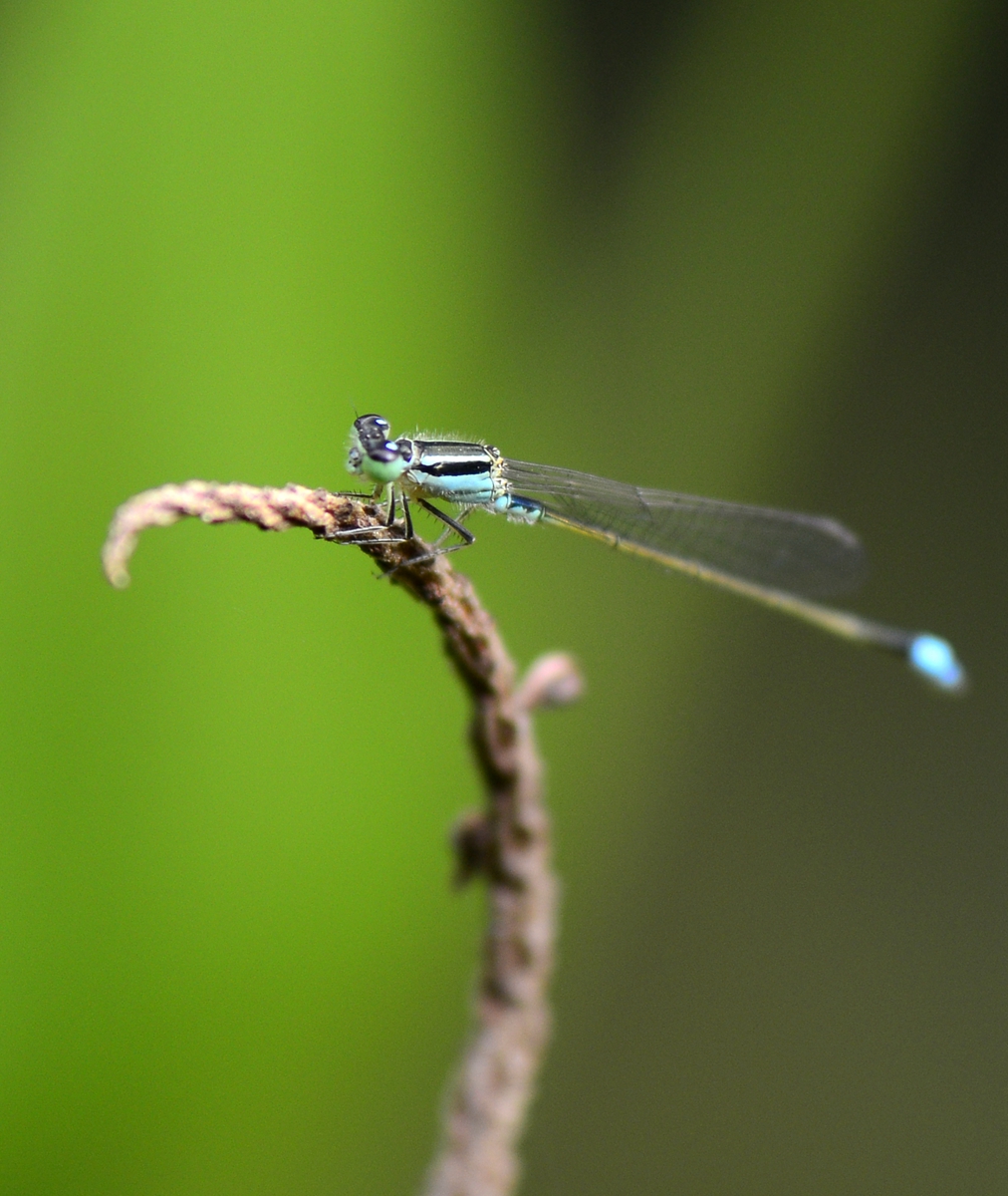 _DSC6975.JPG