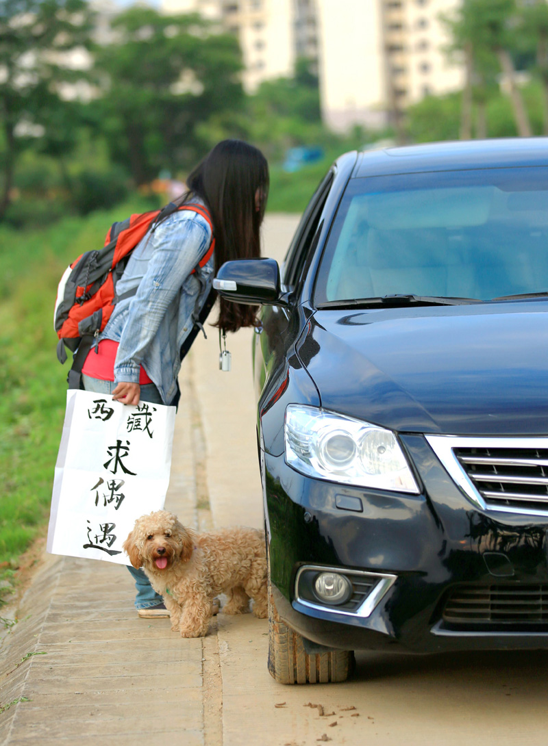 铁轨3 226.JPG