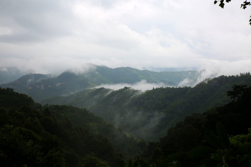 0S0A0541_conew1.JPG