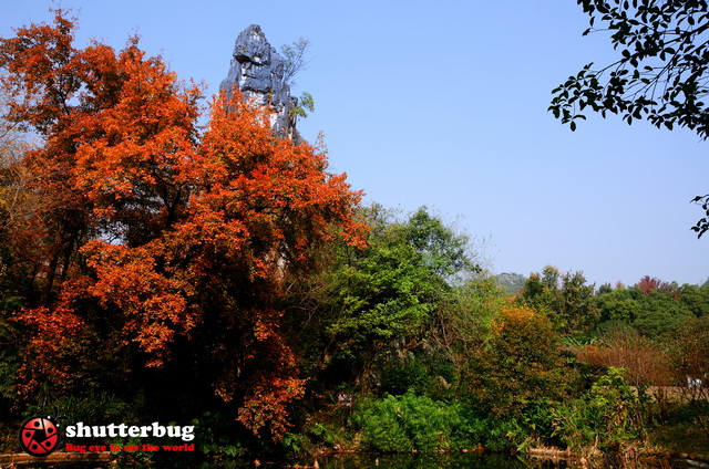 DSC_2565.jpg
