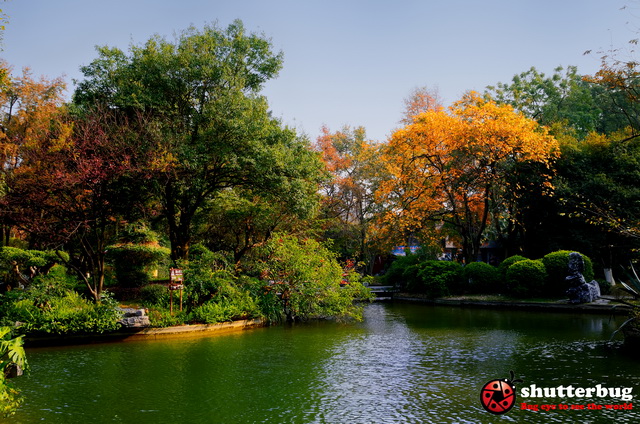 DSC_2592.jpg