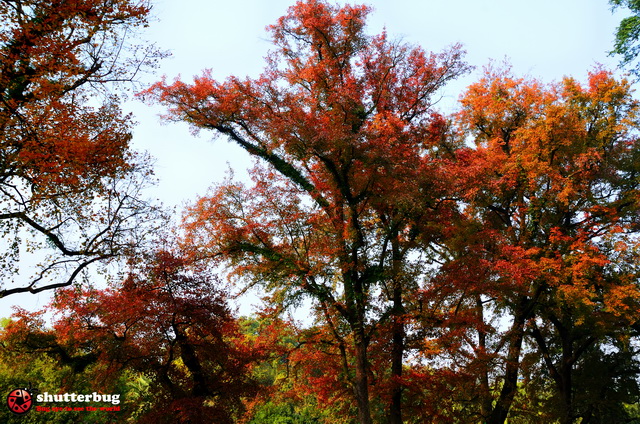DSC_2607.jpg