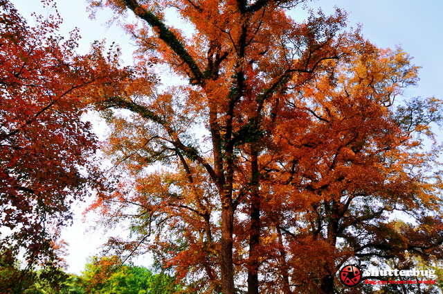 DSC_2612.jpg