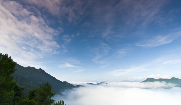 寻梦蒙山：云海仙境茶山湖
