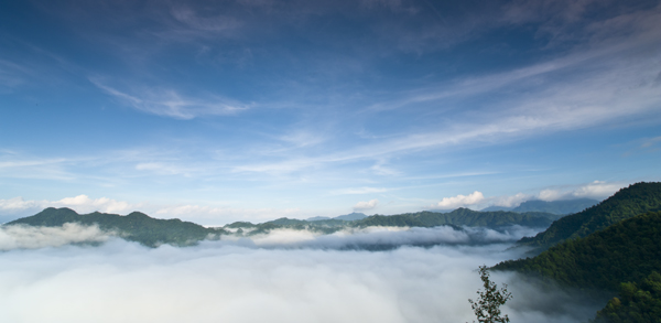 寻梦蒙山：云海仙境茶山湖