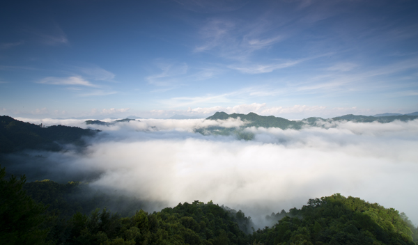 寻梦蒙山：云海仙境茶山湖