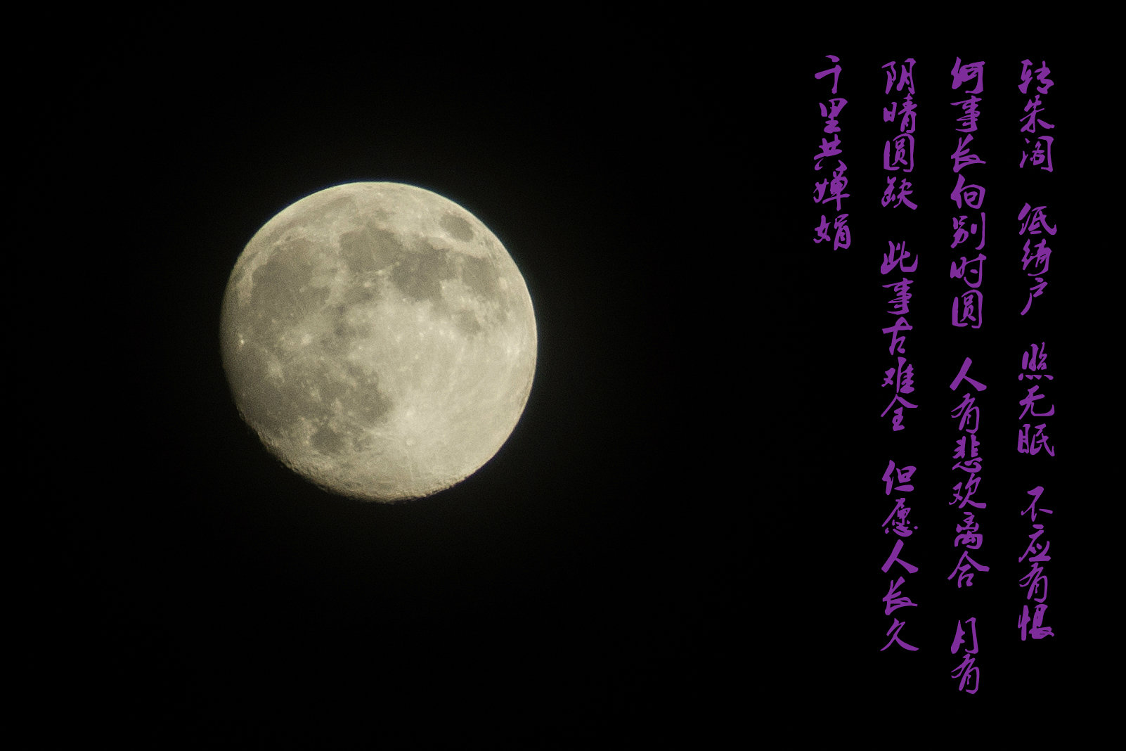 DSC04571-3-2.jpg