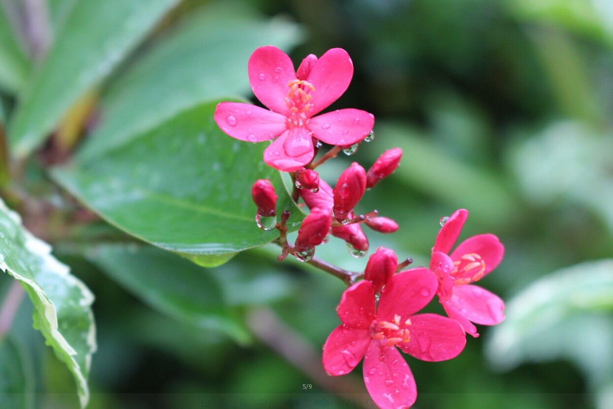 201409082.jpg