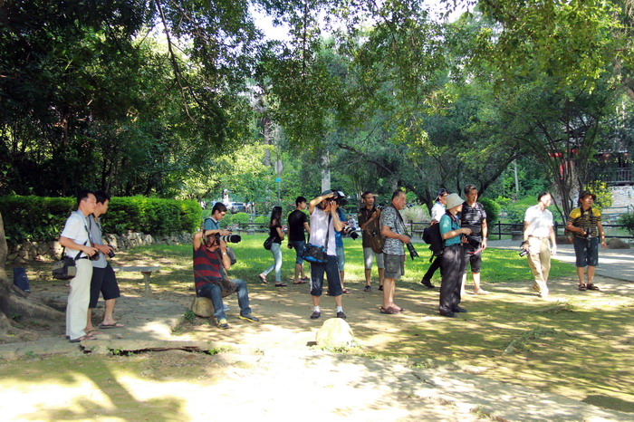 IMG_9522_缩小大小.JPG