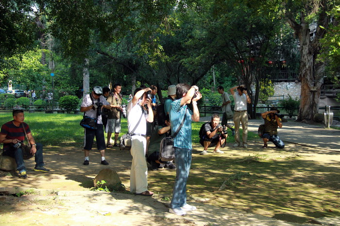 IMG_9526_缩小大小.JPG