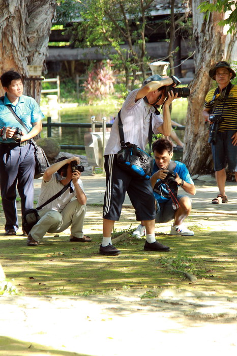 IMG_9527_缩小大小.JPG
