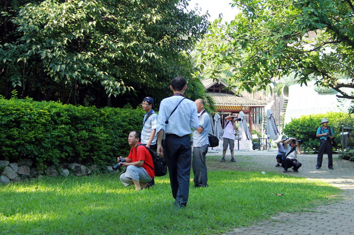 IMG_9528_缩小大小.JPG