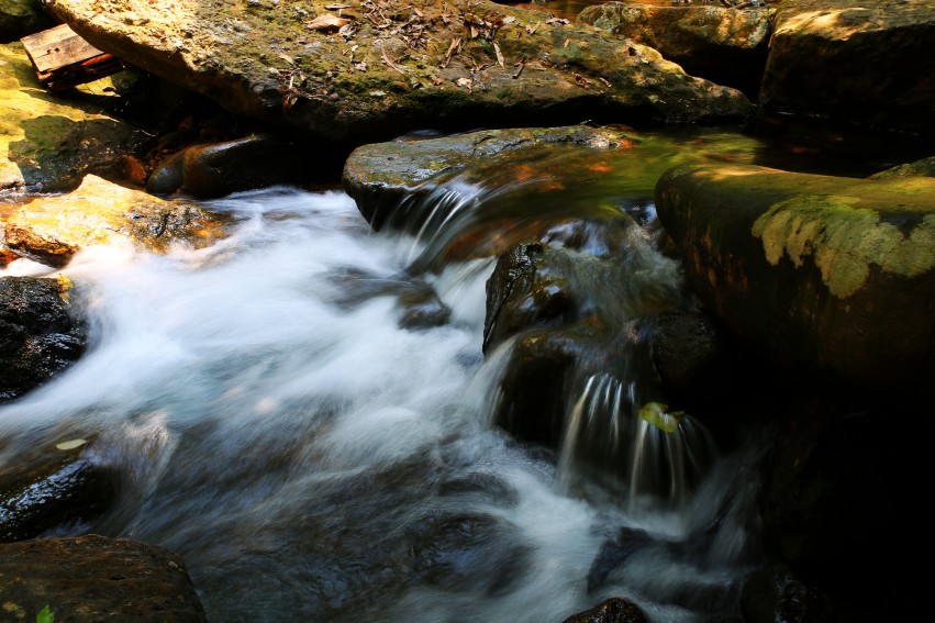 0S0A0844_conew1.jpg