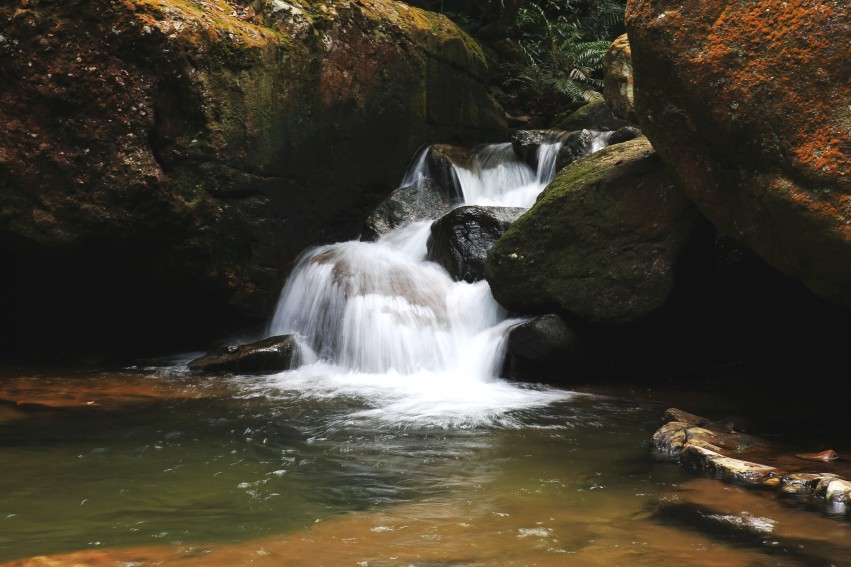 0S0A0848_conew1.jpg