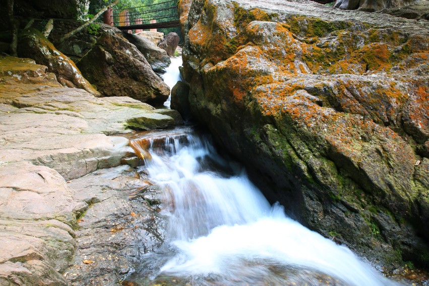 0S0A0862_conew1.jpg