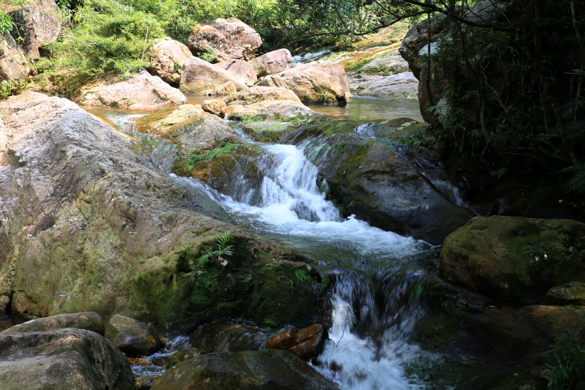 0S0A0903_conew1.jpg