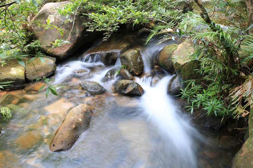 0S0A0964_conew1.jpg