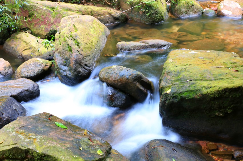 0S0A0970_conew1.jpg