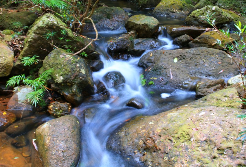 0S0A0977_conew1.jpg