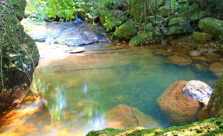 0S0A0981_conew1.jpg