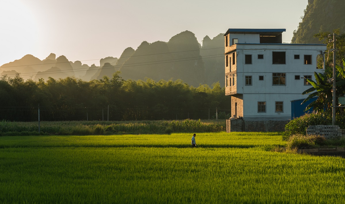 温暖归路