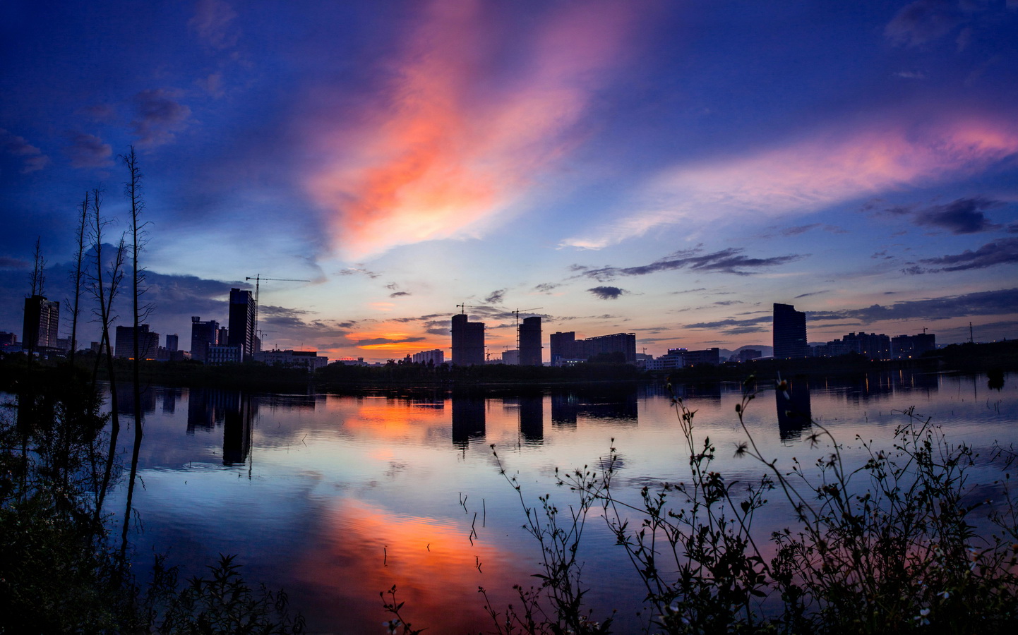 心圩江_全景图_调整大小.jpg