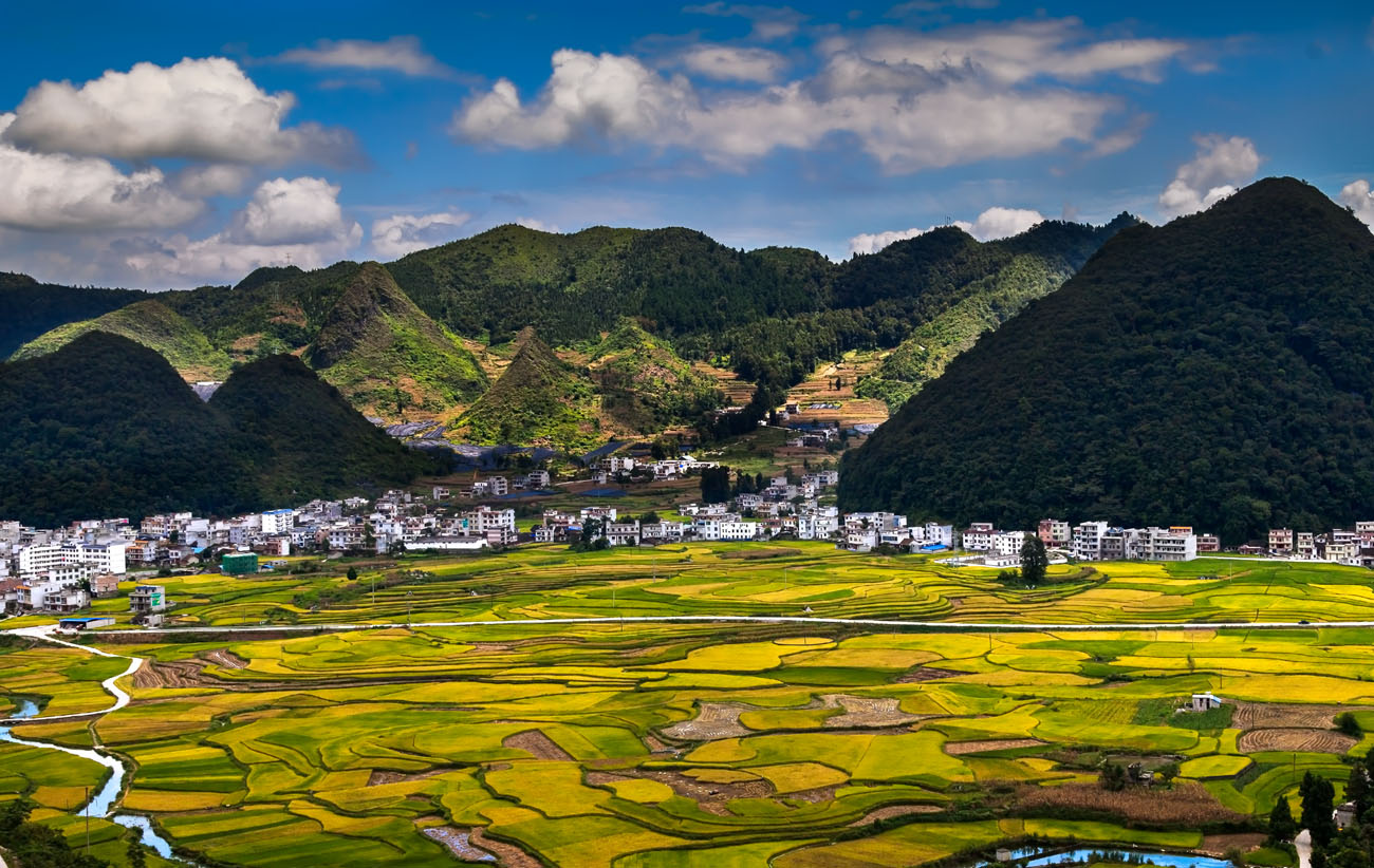 _MG_7865小.jpg