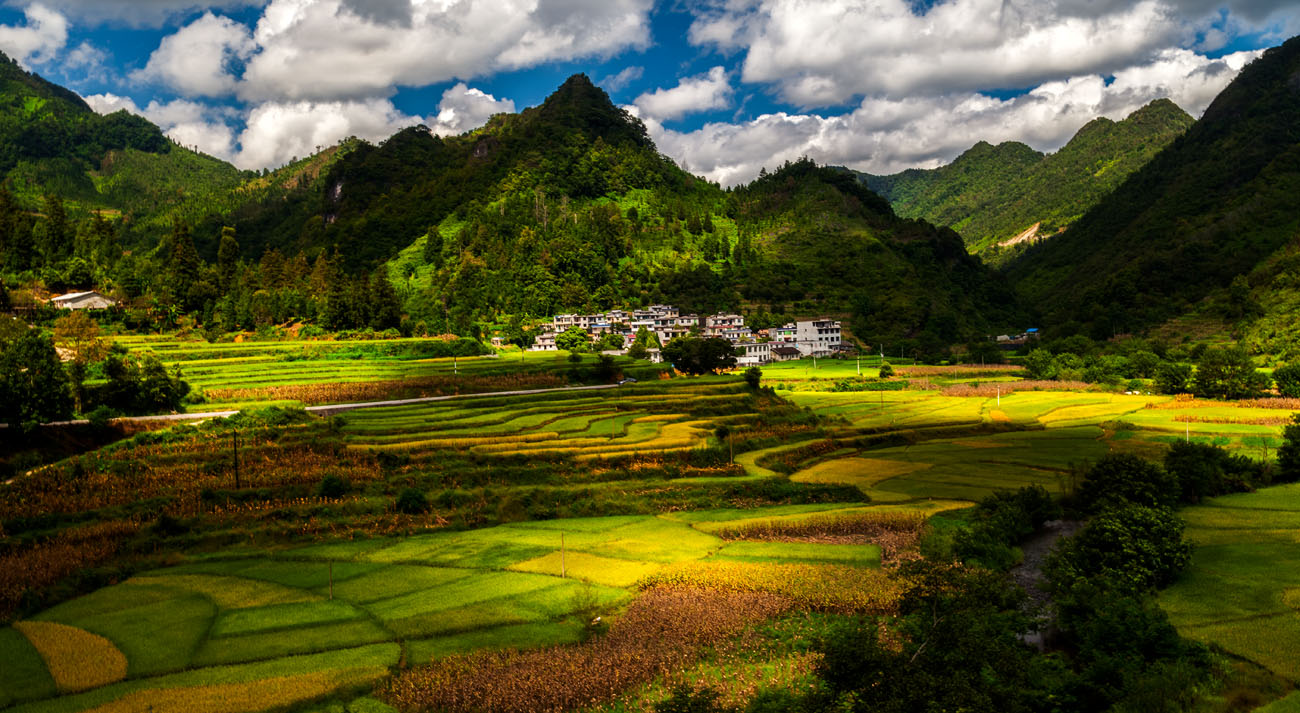 _MG_7782小.jpg