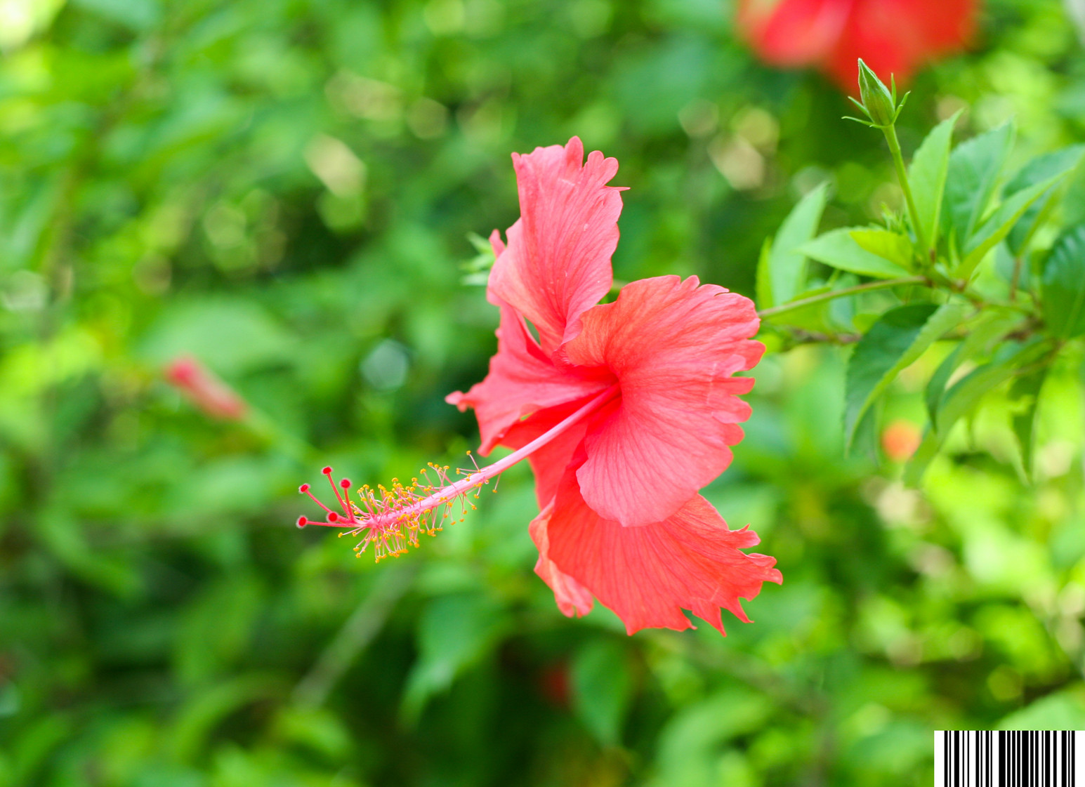 IMG_0887_副本.jpg