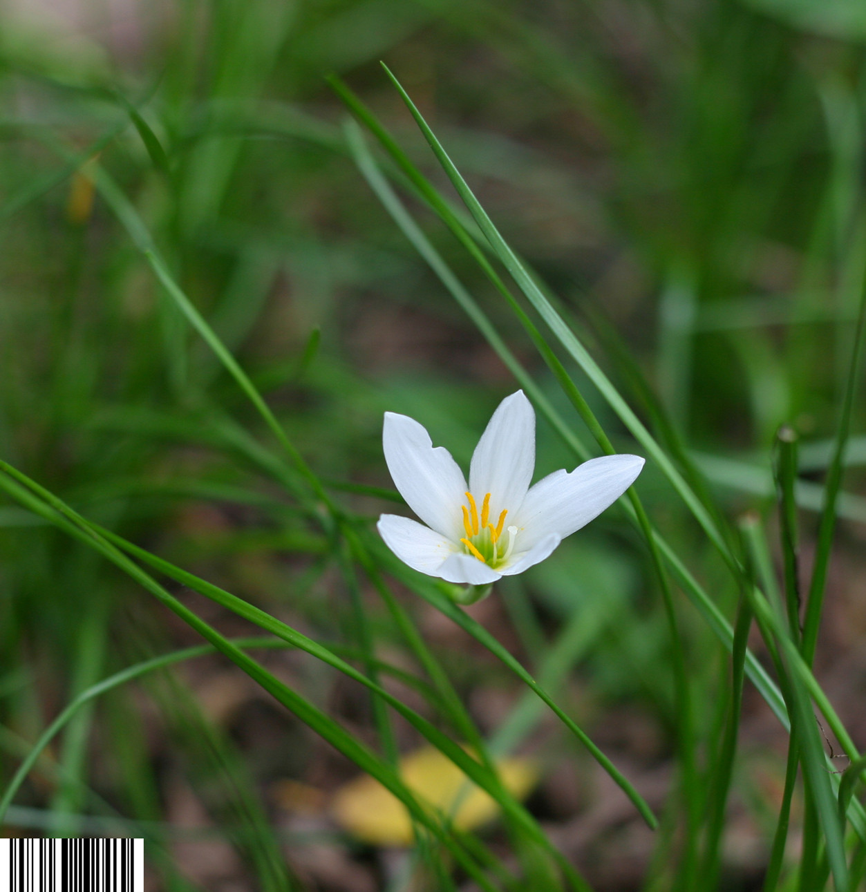 IMG_0890_副本.jpg