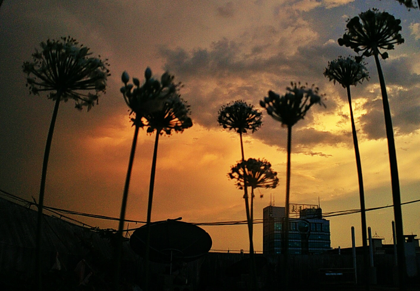 IMG20140827191029_2.jpg