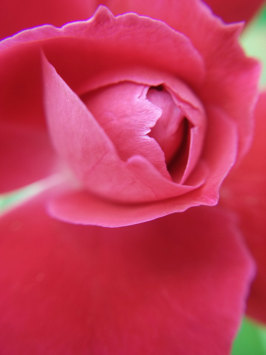 IMG20140808145708.jpg