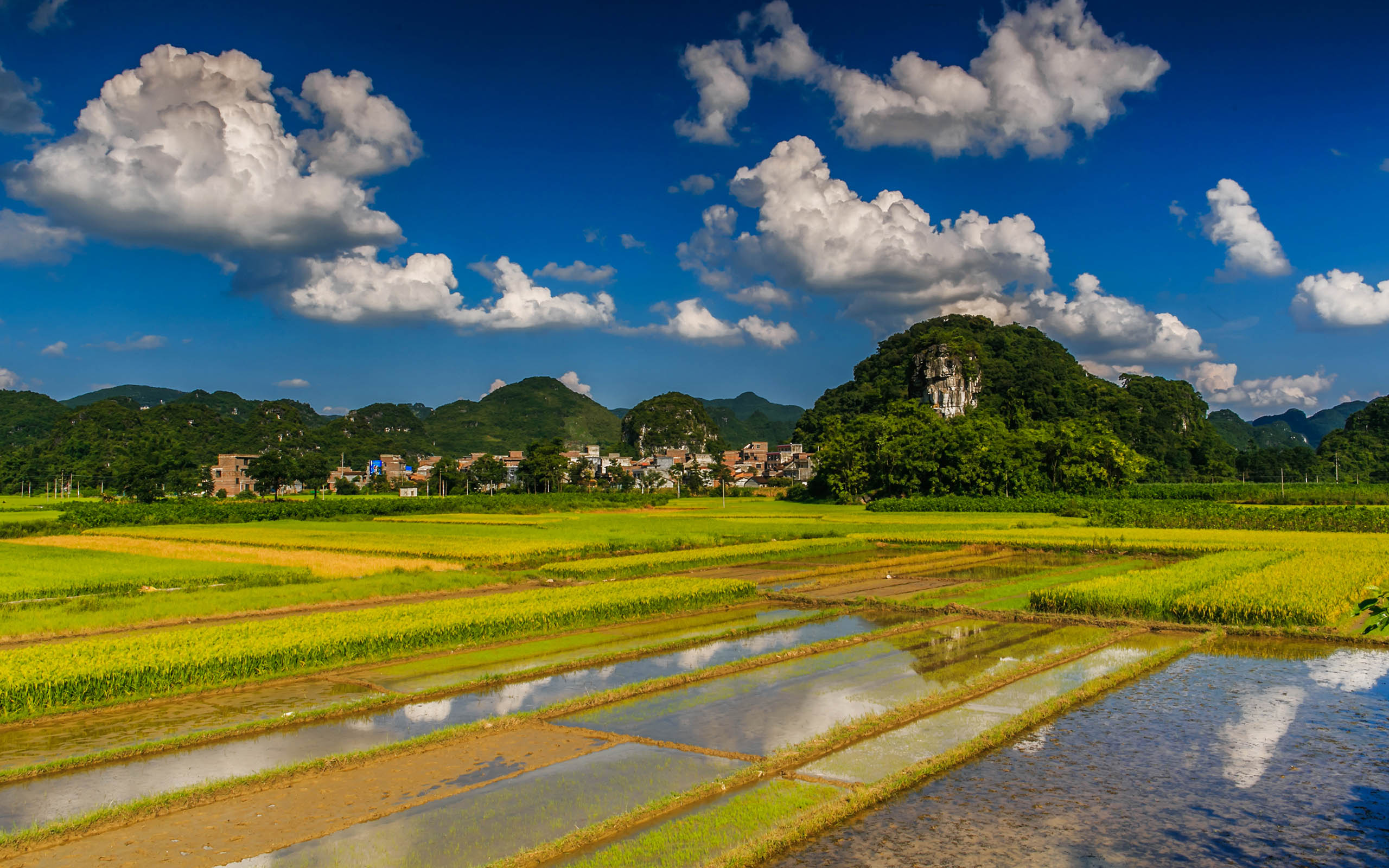 《碧水绿田》自“美丽广西 清洁乡村”活动开展以来，自治区国土资源厅积极响应，开展桂中土地大整理活动，图 ...