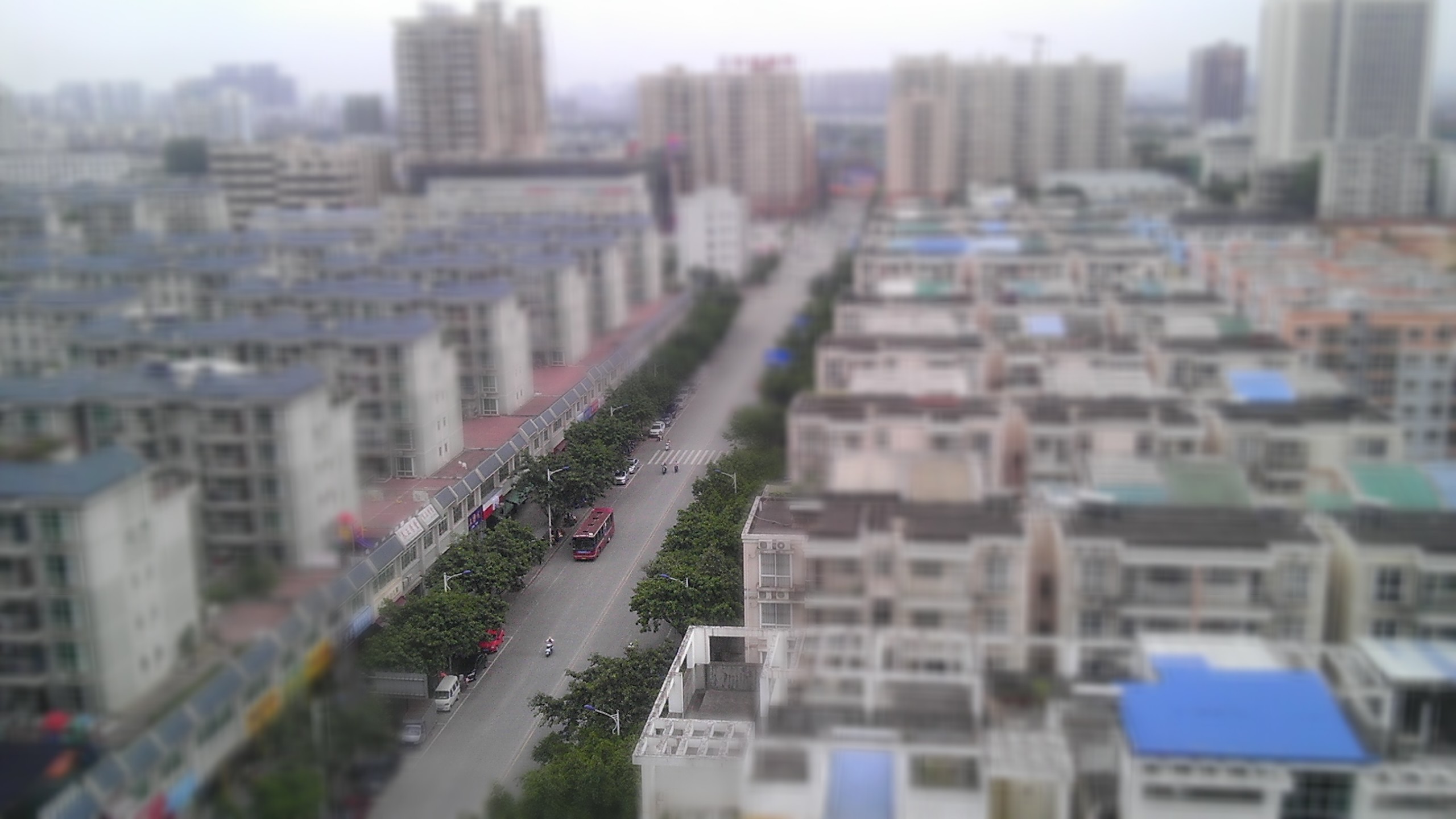科園 新苑路
