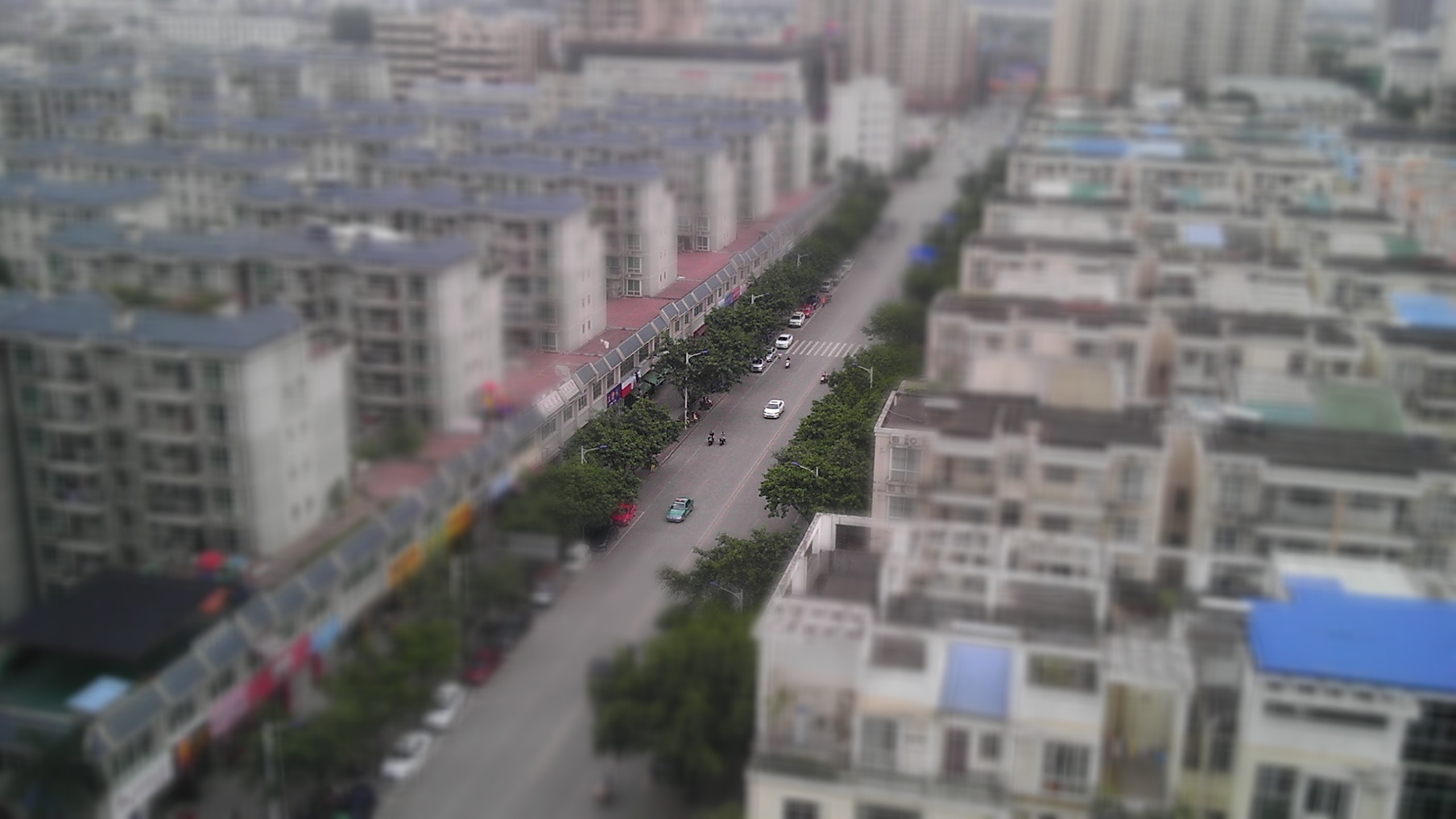 新苑路