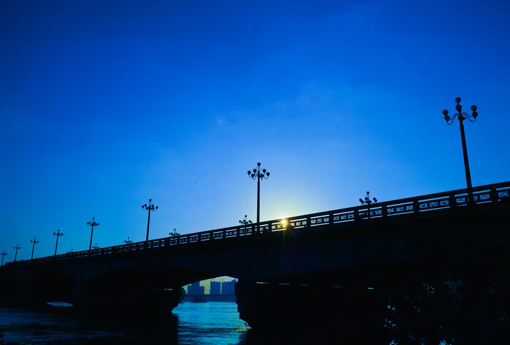 _P1M1855.jpg