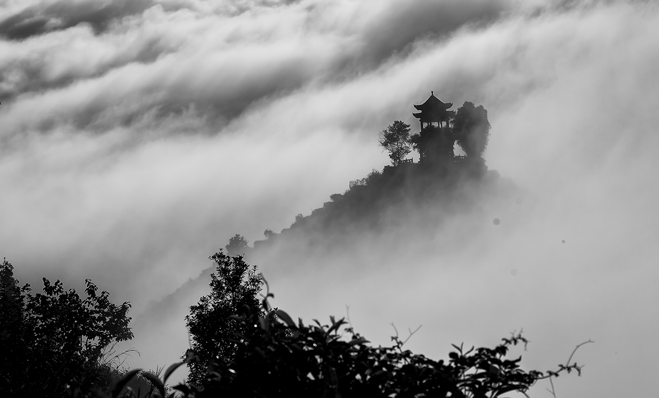_MG_8360-1.jpg