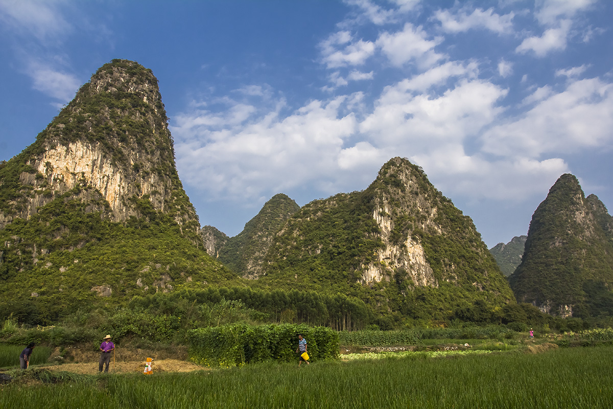 奇峰田园3.jpg