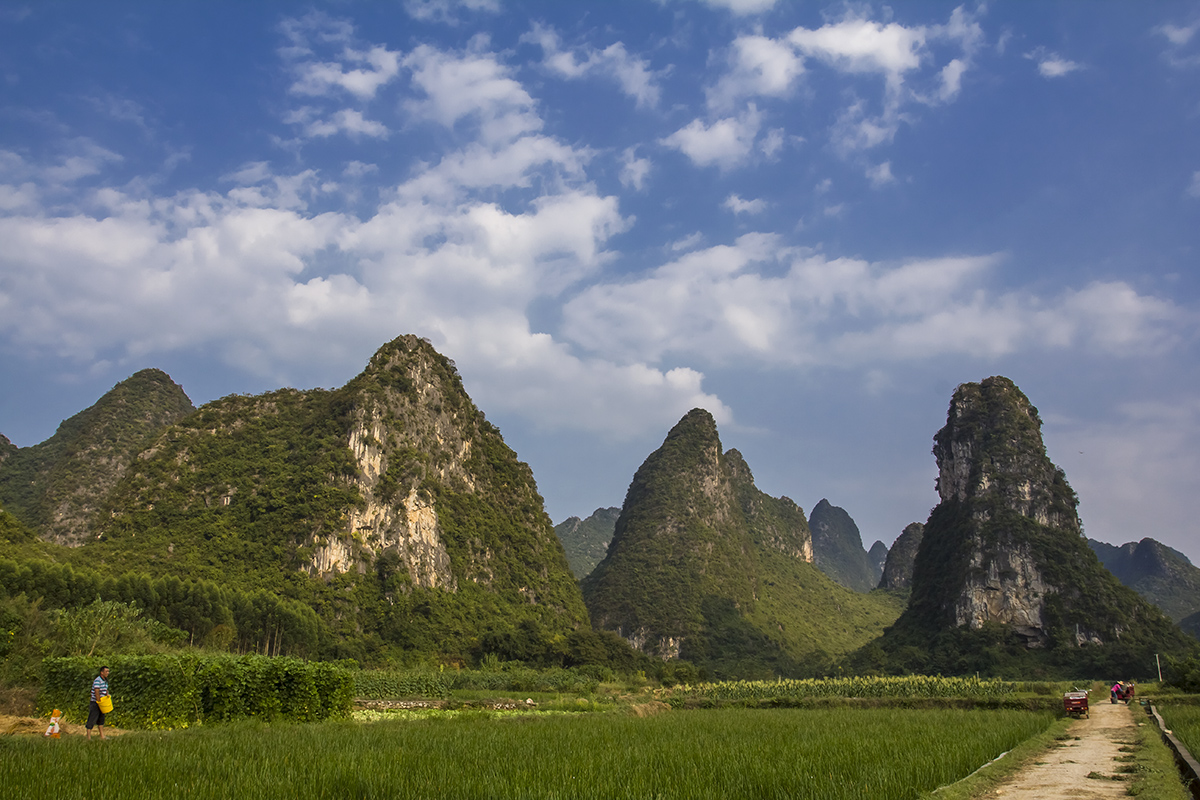 奇峰田园4.jpg